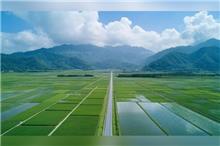 他繼承農地要被課徵遺產稅1860萬 大法官揭「無法免稅」原因