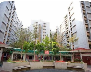 大同大林新城靓三房平車位,台南市南區大同路二段