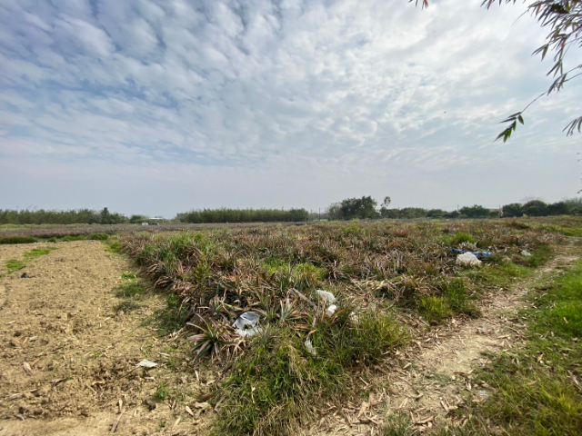 歸仁沙崙1258增值農地,台南市歸仁區沙崙段