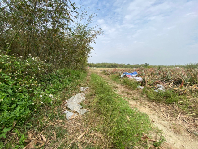 歸仁沙崙1258增值農地,台南市歸仁區沙崙段