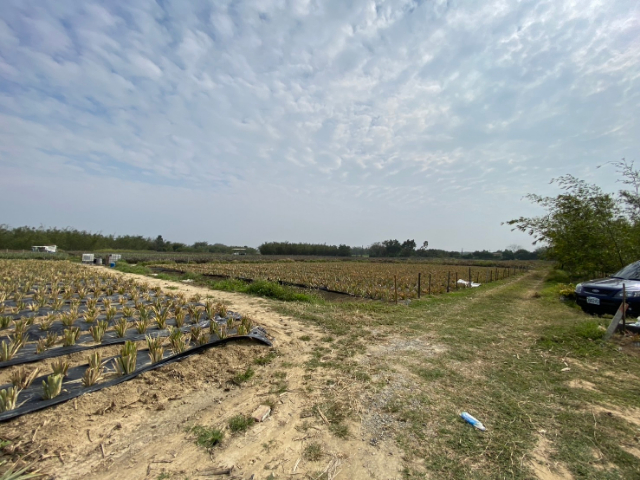 歸仁沙崙1258增值農地,台南市歸仁區沙崙段