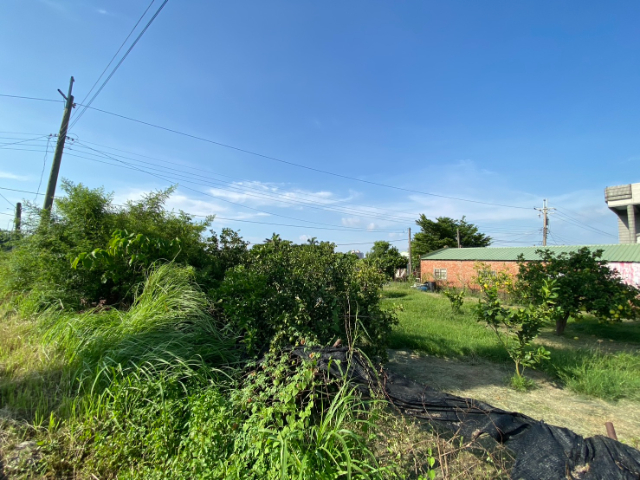 近麻豆交流道都內農地,台南市麻豆區新生南路